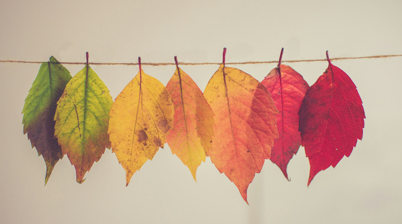 Un autunno tutto da vivere